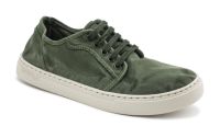Φωτογραφία από 6602E Old Narciso - Kaki
