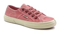 Φωτογραφία από 901E  Old Blossom - Rosa